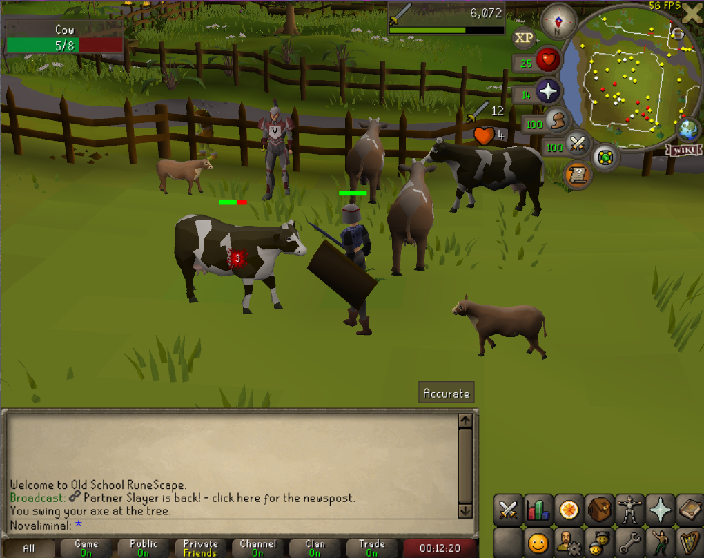 screenshot of Old School Runescape